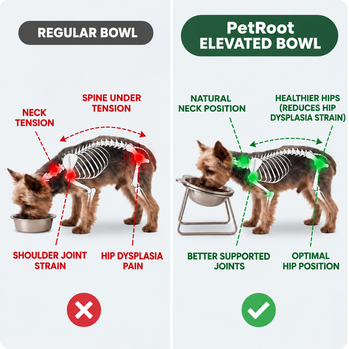 PetRoot Orthopedic Bowl — eating standing tall