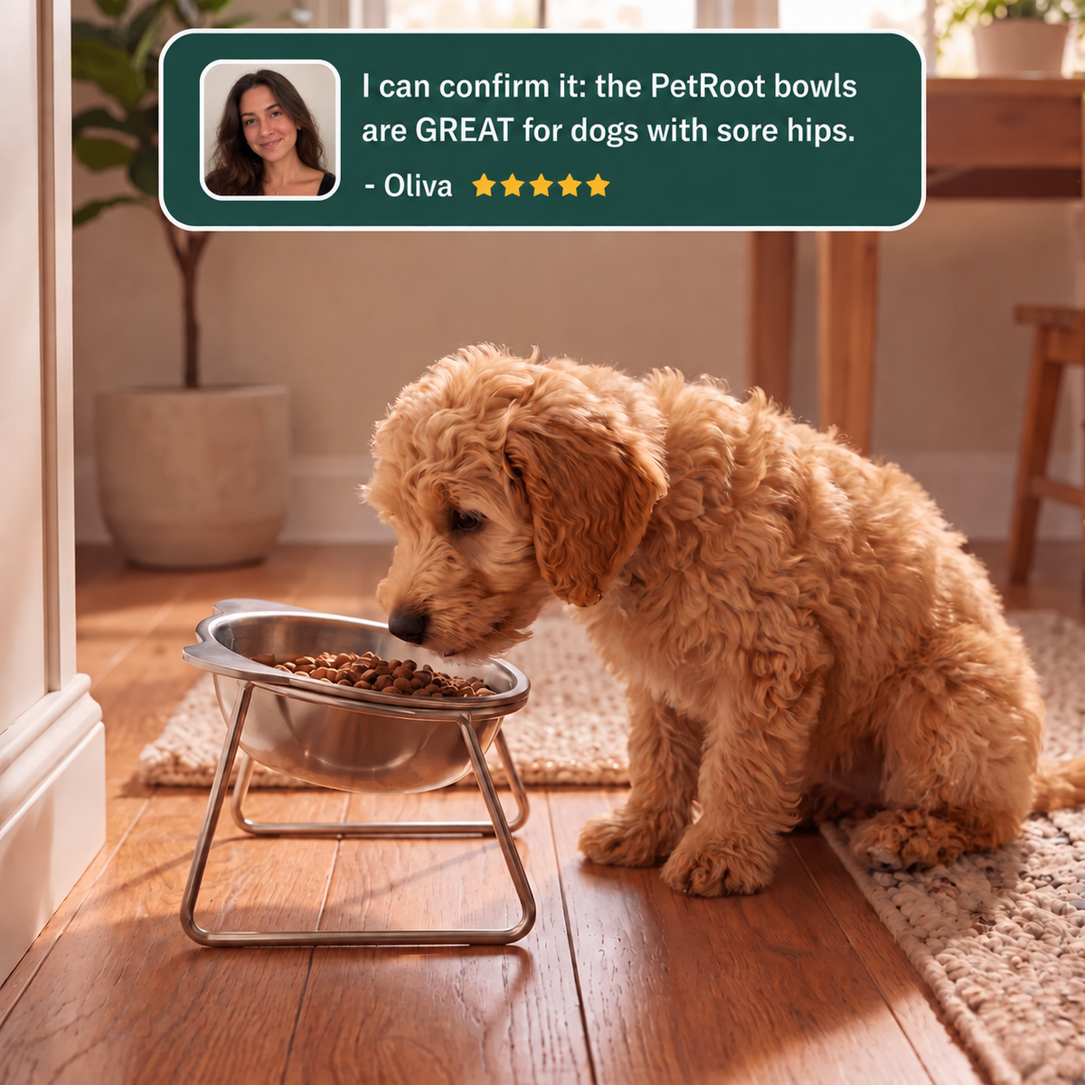 PetRoot Orthopedic Bowl