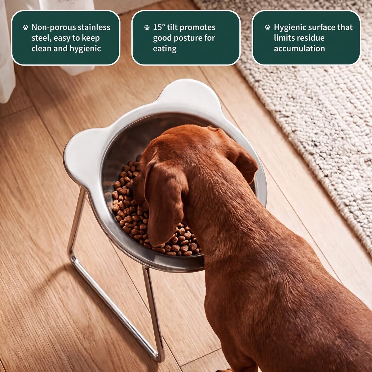 PetRoot Orthopedic Bowl