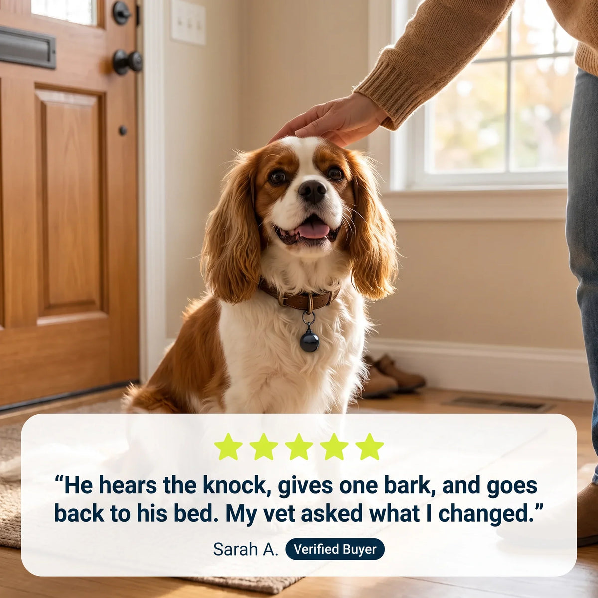 PetRoot™ ANTI-BARKING STONE PENDANT
