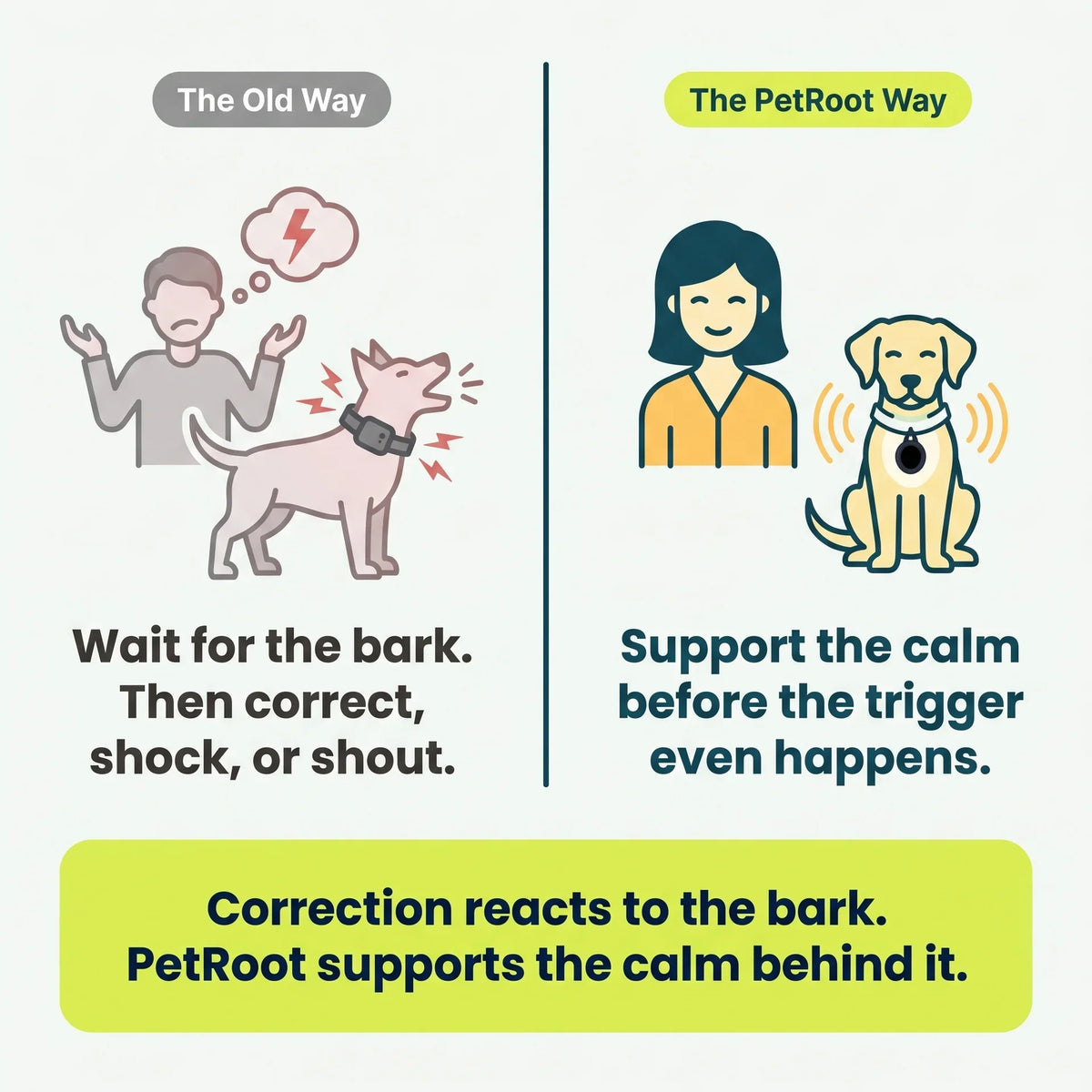 PetRoot™ ANTI-BARKING STONE PENDANT