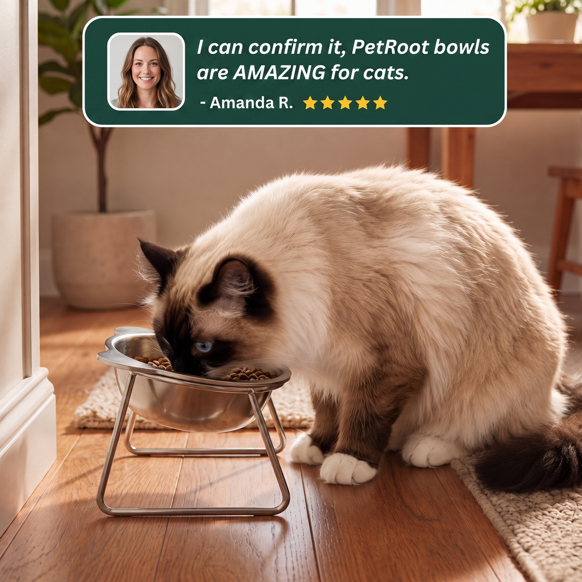 PetRoot™ Orthopedic Stainless Steel Cat Bowl